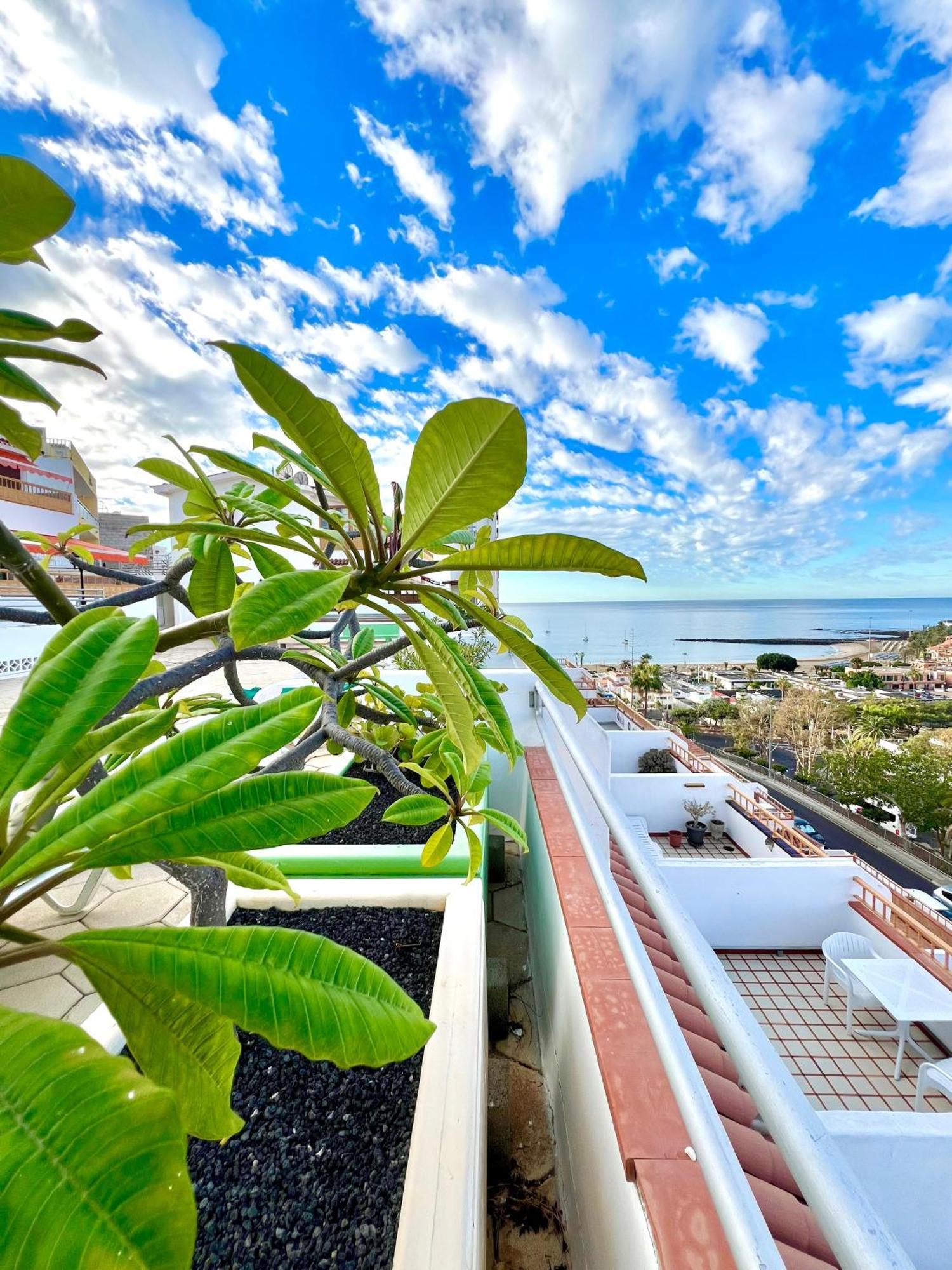 Vistas Dream Apartment